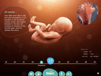 ipad app for pregnancy