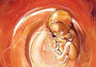 Pregnancy and the Fetal Sleep