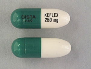 Keflex During Pregnancy