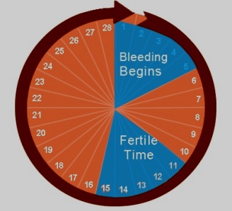 Most Fertiles Days