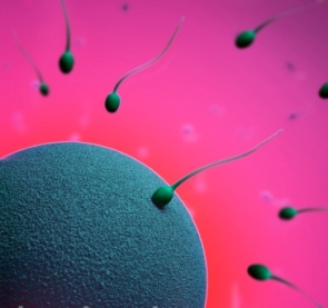 What Is Infertility
