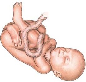 Baby Development at 28 Weeks Pregnant