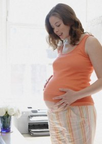Pregnancy Weekly