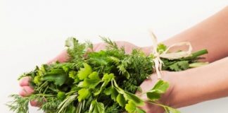 Natural Herbs to Avoid During Pregnancy