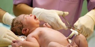 Benefits Of Stem Cells And Umbilical Cord