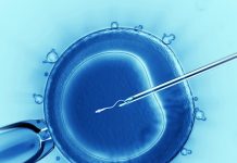 does endometrial scratching increase success rates in IVF