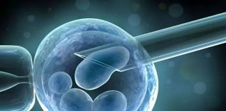 Top 5 Important Steps in IVF Process